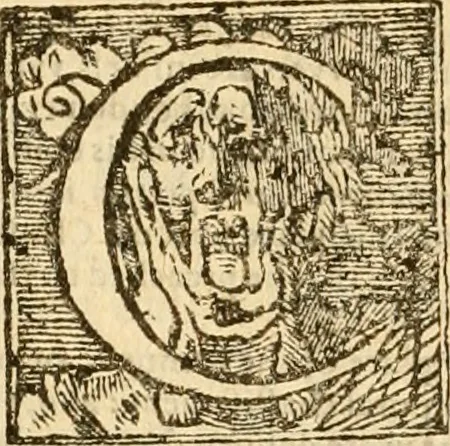 An illustration from [The New Testament of Iesus Christ : faithfully translated into English ... in the English College of Rhemes], 1582, leaf 641