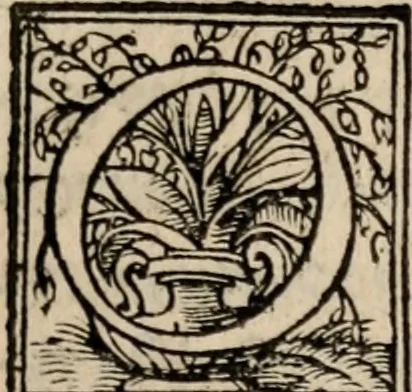 An illustration from Theōnos Sophiston Progymnasmata = Theonis Sophistae Primae apud rhetorem exercitationes, 1541, leaf 184