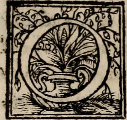 An illustration from Theōnos Sophiston Progymnasmata = Theonis Sophistae Primae apud rhetorem exercitationes, 1541, leaf 205