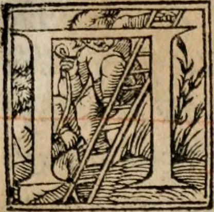 An illustration from Theōnos Sophiston Progymnasmata = Theonis Sophistae Primae apud rhetorem exercitationes, 1541, leaf 30