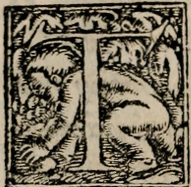 An illustration from Theōnos Sophiston Progymnasmata = Theonis Sophistae Primae apud rhetorem exercitationes, 1541, leaf 89