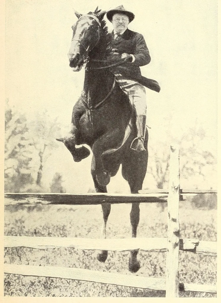 An illustration from Theodore Roosevelt, the citizen, 1904, leaf 117