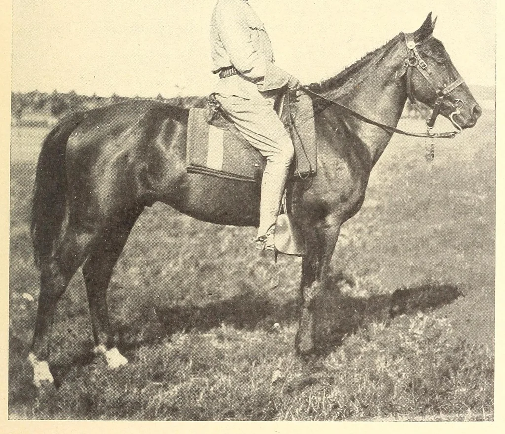 An illustration from Theodore Roosevelt, the citizen, 1904, leaf 225
