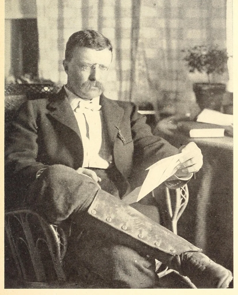 An illustration from Theodore Roosevelt, the citizen, 1904, leaf 313