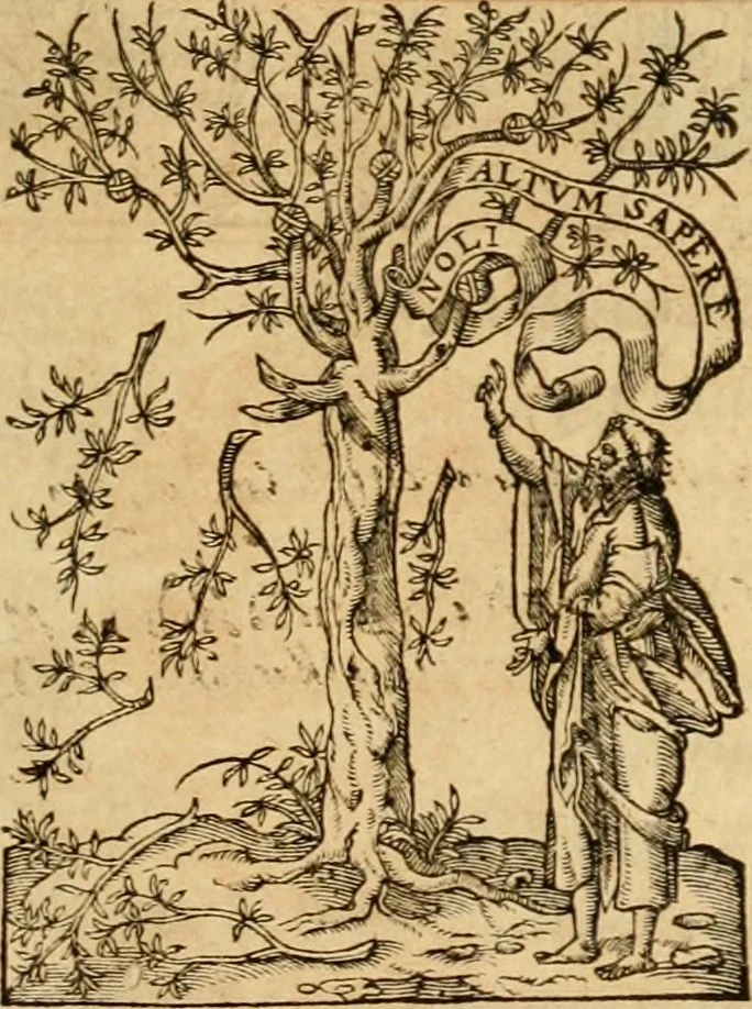 An illustration from Theodori Bezae Vezelii Poemata varia : sylvae, elegiae, epitaphia, epigrammata, icones, emblemata, Cato Censorius : omnia ab ipso auctore in vnum nunc corpus collecta & recognita, 1597, leaf 12