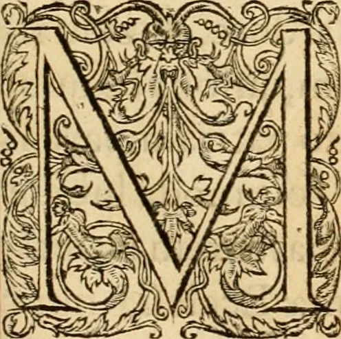 An illustration from Theodori Bezae Vezelii Poemata varia : sylvae, elegiae, epitaphia, epigrammata, icones, emblemata, Cato Censorius : omnia ab ipso auctore in vnum nunc corpus collecta & recognita, 1597, leaf 14