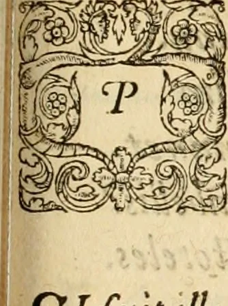 An illustration from Theodori Bezae Vezelii Poemata varia : sylvae, elegiae, epitaphia, epigrammata, icones, emblemata, Cato Censorius : omnia ab ipso auctore in vnum nunc corpus collecta & recognita, 1597, leaf 242