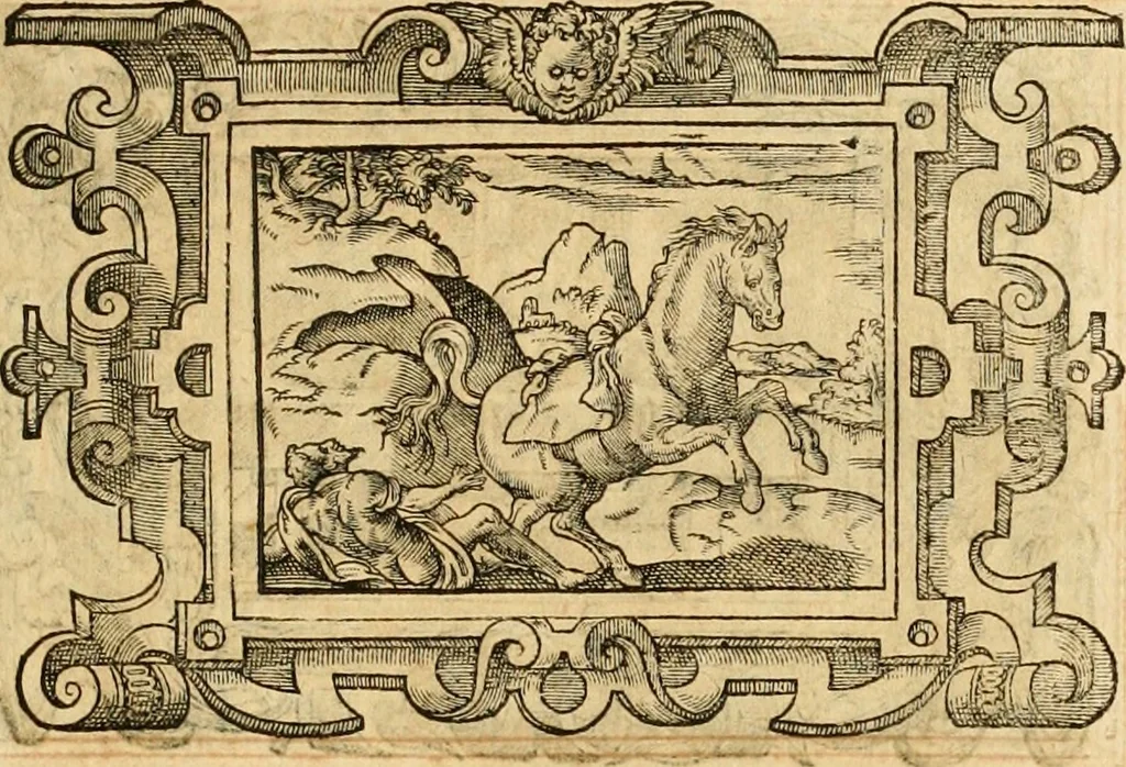 An illustration from Theodori Bezae Vezelii Poemata varia : sylvae, elegiae, epitaphia, epigrammata, icones, emblemata, Cato Censorius : omnia ab ipso auctore in vnum nunc corpus collecta & recognita, 1597, leaf 260