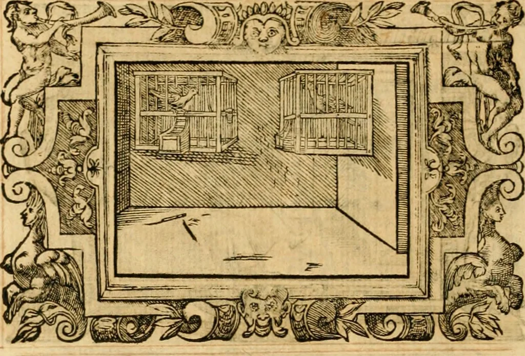 An illustration from Theodori Bezae Vezelii Poemata varia : sylvae, elegiae, epitaphia, epigrammata, icones, emblemata, Cato Censorius : omnia ab ipso auctore in vnum nunc corpus collecta & recognita, 1597, leaf 265