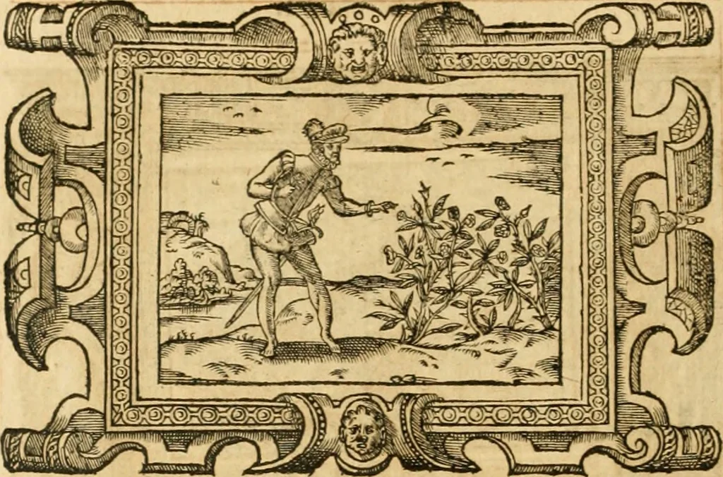 An illustration from Theodori Bezae Vezelii Poemata varia : sylvae, elegiae, epitaphia, epigrammata, icones, emblemata, Cato Censorius : omnia ab ipso auctore in vnum nunc corpus collecta & recognita, 1597, leaf 279