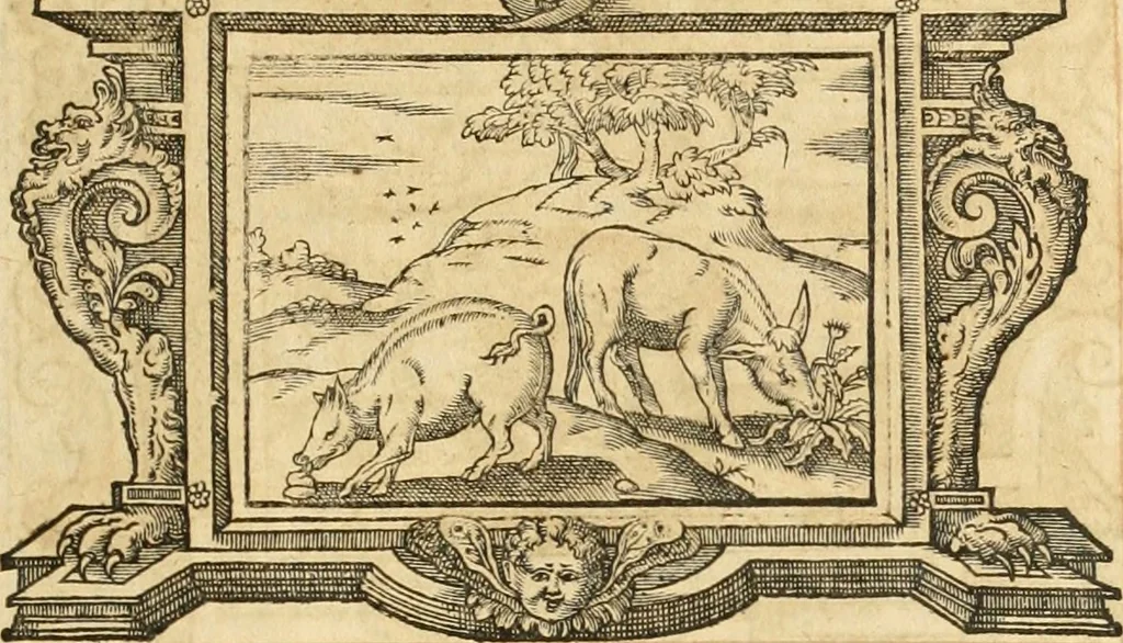 An illustration from Theodori Bezae Vezelii Poemata varia : sylvae, elegiae, epitaphia, epigrammata, icones, emblemata, Cato Censorius : omnia ab ipso auctore in vnum nunc corpus collecta & recognita, 1597, leaf 280