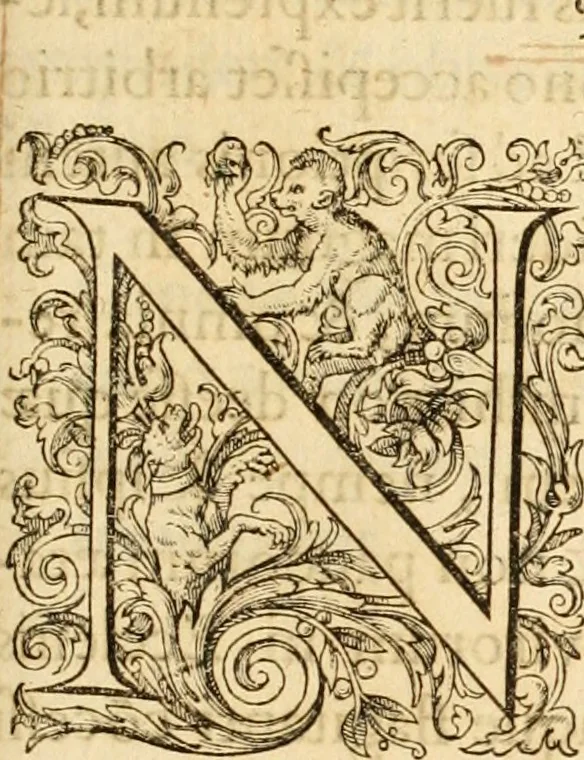 An illustration from Theodori Bezae Vezelii Poemata varia : sylvae, elegiae, epitaphia, epigrammata, icones, emblemata, Cato Censorius : omnia ab ipso auctore in vnum nunc corpus collecta & recognita, 1597, leaf 312