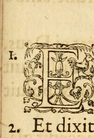 An illustration from Theodori Bezae Vezelii Poemata varia : sylvae, elegiae, epitaphia, epigrammata, icones, emblemata, Cato Censorius : omnia ab ipso auctore in vnum nunc corpus collecta & recognita, 1597, leaf 320