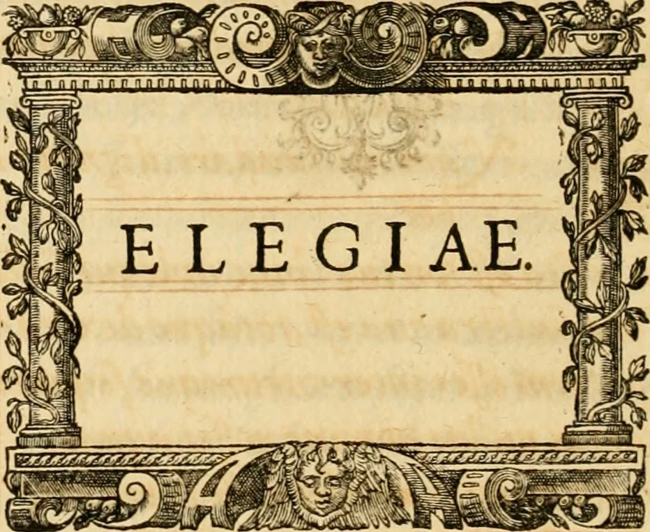 An illustration from Theodori Bezae Vezelii Poemata varia : sylvae, elegiae, epitaphia, epigrammata, icones, emblemata, Cato Censorius : omnia ab ipso auctore in vnum nunc corpus collecta & recognita, 1597, leaf 91