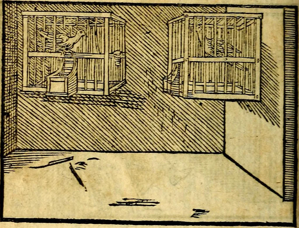 An illustration from Theodori Bezæ Vezelii Poëmata varia ..., 1599, leaf 293