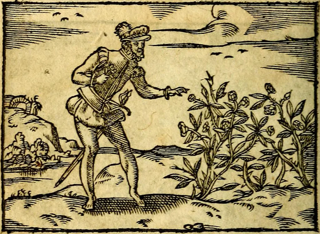 An illustration from Theodori Bezæ Vezelii Poëmata varia ..., 1599, leaf 307