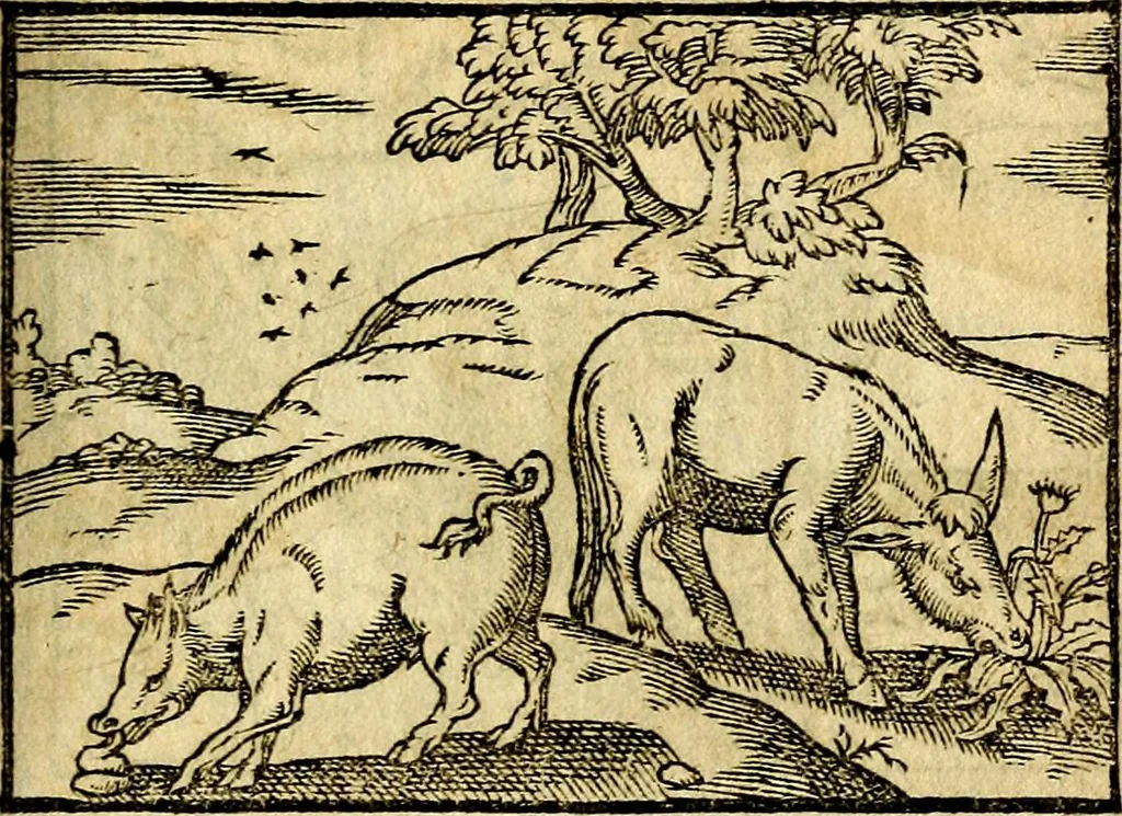 An illustration from Theodori Bezæ Vezelii Poëmata varia ..., 1599, leaf 308