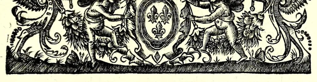 An illustration from Theodori Kerckringii doctoris medici anthropogeniae ichnographia, sive, Conformatio foetus ab ovo usque ad ossificationis principia : in supplementum osteogeniae foetuum, 1671, leaf 29