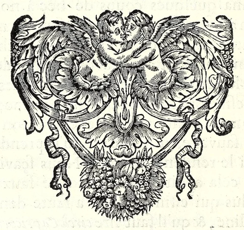 An illustration from Theodori Kerckringii doctoris medici anthropogeniae ichnographia, sive, Conformatio foetus ab ovo usque ad ossificationis principia : in supplementum osteogeniae foetuum, 1671, leaf 74