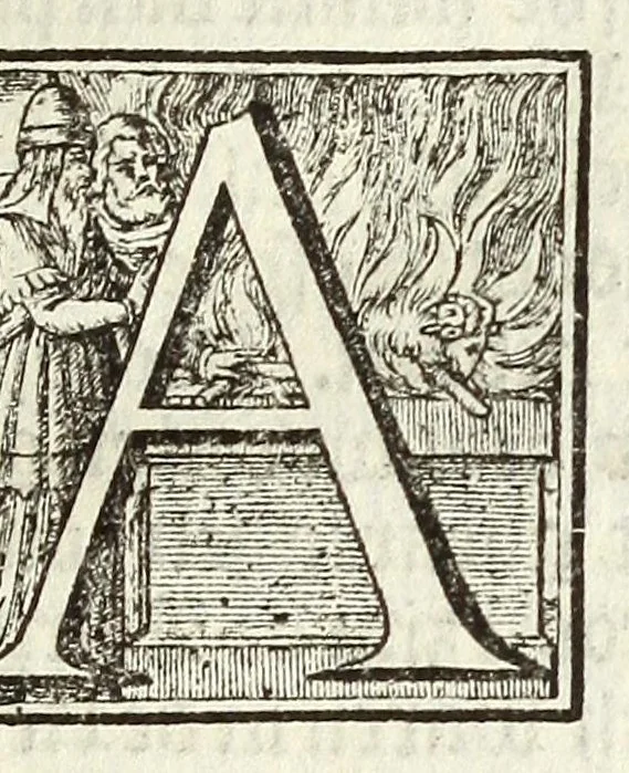 An illustration from Theod. Schreveli Harlemias, ofte, om beter te seggen, De eerste stichtinghe der stadt Haerlem : het toe-nemen en vergrootinge der selfden .., 1648, leaf 155