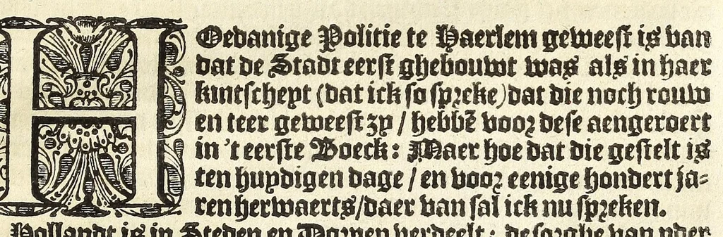 An illustration from Theod. Schreveli Harlemias, ofte, om beter te seggen, De eerste stichtinghe der stadt Haerlem : het toe-nemen en vergrootinge der selfden .., 1648, leaf 309