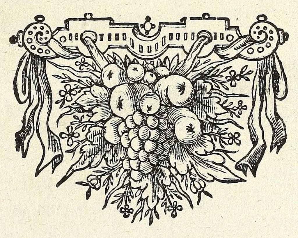 An illustration from Theod. Schreveli Harlemias, ofte, om beter te seggen, De eerste stichtinghe der stadt Haerlem : het toe-nemen en vergrootinge der selfden .., 1648, leaf 5