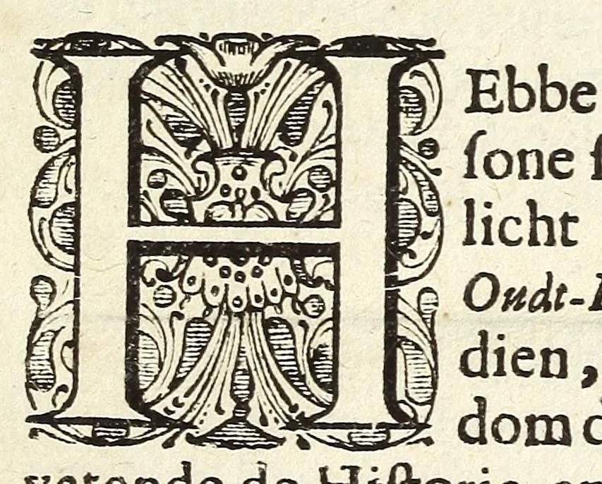 An illustration from Theod. Schreveli Harlemias, ofte, om beter te seggen, De eerste stichtinghe der stadt Haerlem : het toe-nemen en vergrootinge der selfden .., 1648, leaf 7