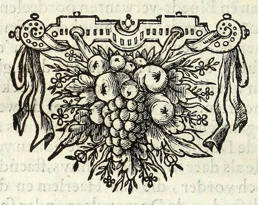 An illustration from Theod. Schreveli Harlemias, ofte, om beter te seggen, De eerste stichtinghe der stadt Haerlem : het toe-nemen en vergrootinge der selfden .., 1648, leaf 86