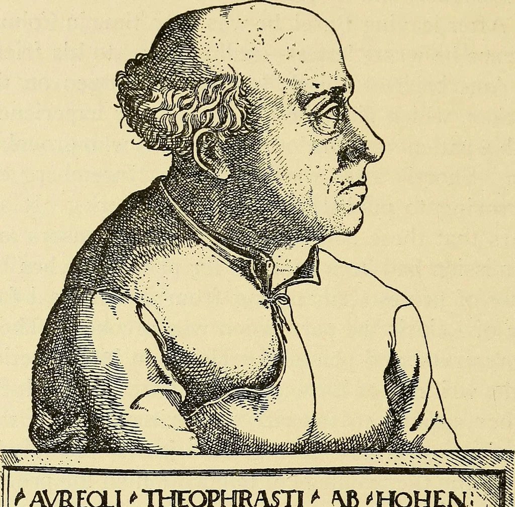 An illustration from Theophrastus Bombastus von Hohenheim called Paracelsus; his personality and influence as physician, chemist and reformer, 1920, leaf 173