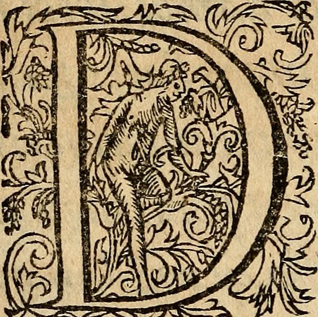 An illustration from Theorica de virtvdes en coplas y con commento., 1563, leaf 13