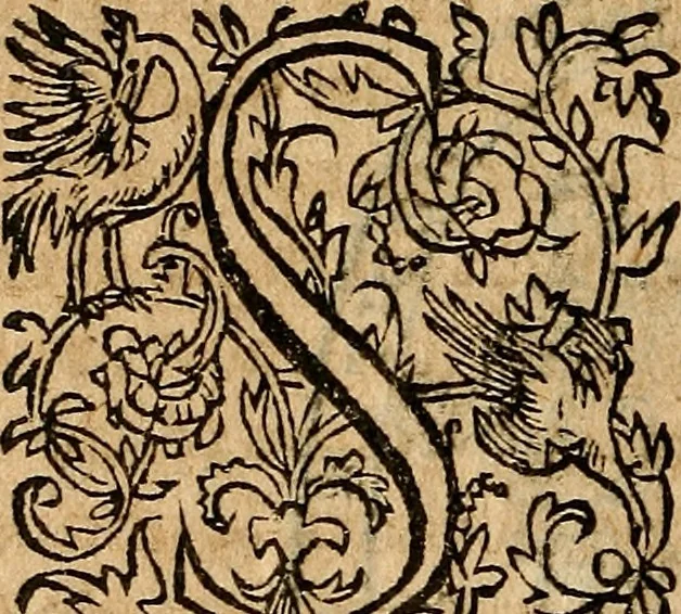 An illustration from Theorica de virtvdes en coplas y con commento., 1563, leaf 315