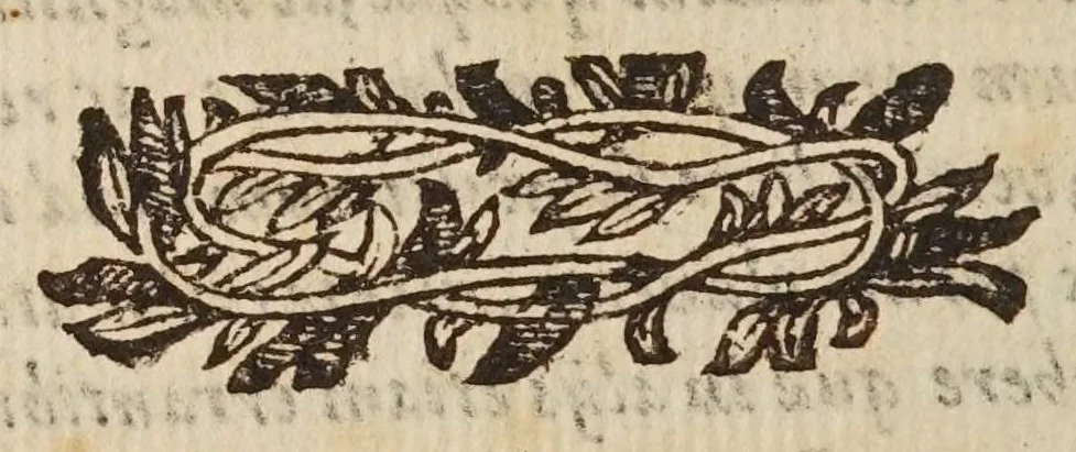 An illustration from Theoricae mediceorvm planetarvm ex cavsis physicis dedvctae, 1666, leaf 14