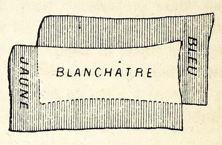 An illustration from Théorie scientifique des couleurs : et leurs applications a l'art et a l'industrie, 1881, leaf 108