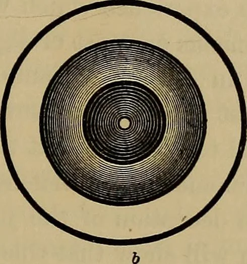 An illustration from The theory of color in its relation to art and art-industry, 1876, leaf 192