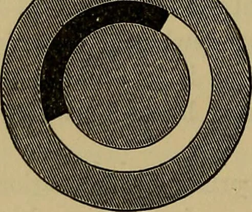 An illustration from The theory of color in its relation to art and art-industry, 1876, leaf 203