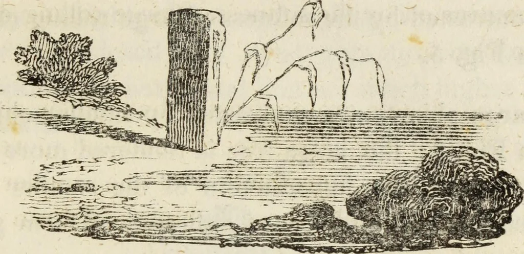 An illustration from The theory of effect : embracing the contrast of light and shade, of colour and harmony, 1851, leaf 18