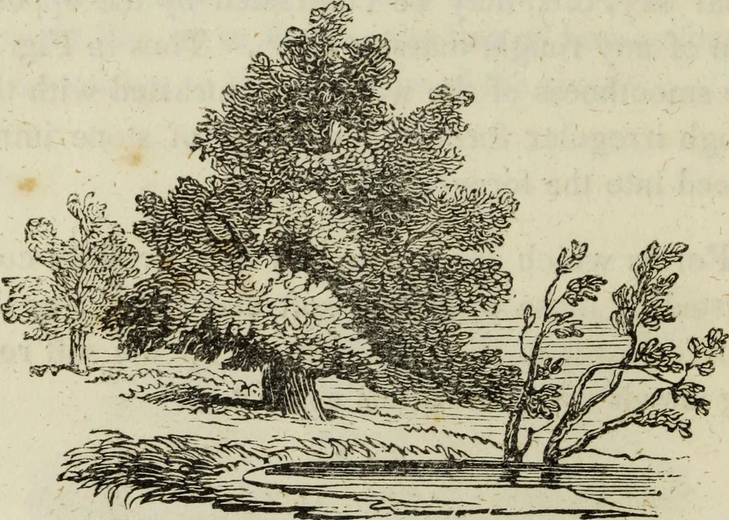 An illustration from The theory of effect : embracing the contrast of light and shade, of colour and harmony, 1851, leaf 19