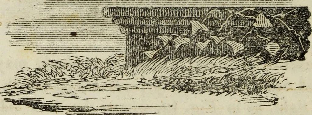 An illustration from The theory of effect : embracing the contrast of light and shade, of colour and harmony, 1851, leaf 23