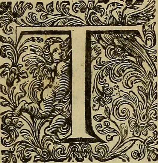 An illustration from An essay on the theory of painting, 1725, leaf 8