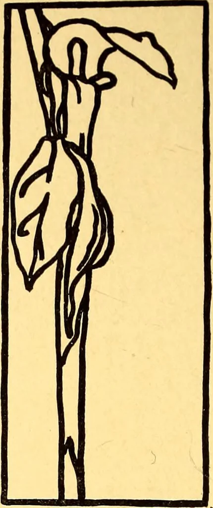 An illustration from Theory and practice of teaching art, 1912, leaf 25