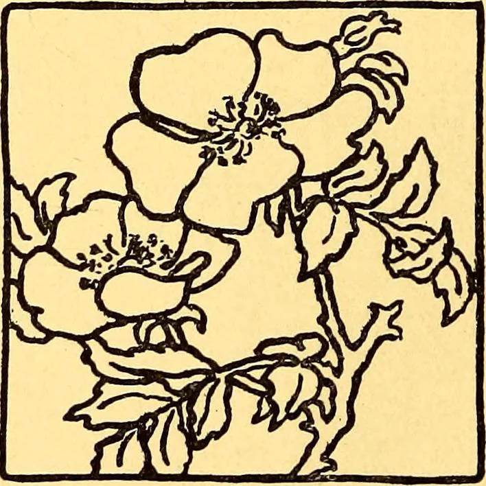 An illustration from Theory and practice of teaching art, 1912, leaf 25