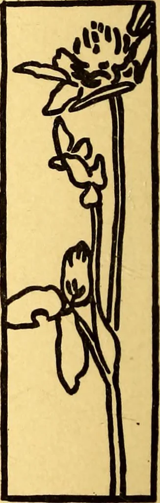 An illustration from Theory and practice of teaching art, 1912, leaf 25