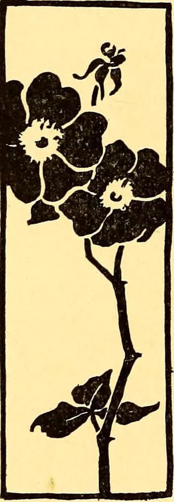 An illustration from Theory and practice of teaching art, 1912, leaf 35