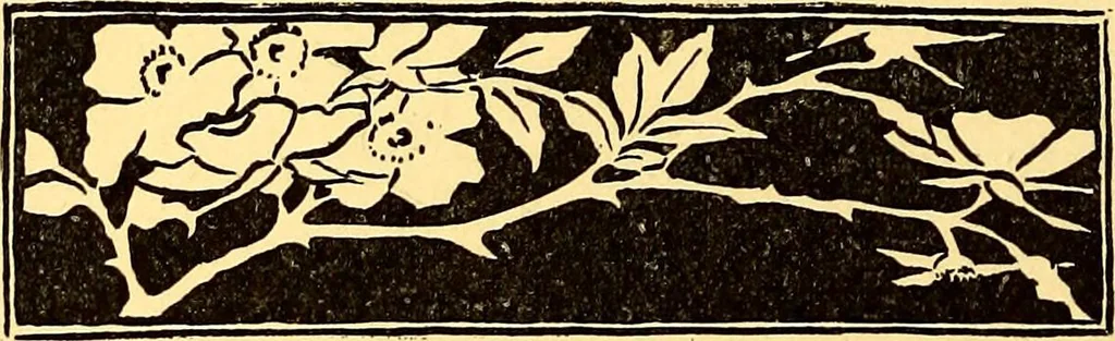 An illustration from Theory and practice of teaching art, 1912, leaf 35
