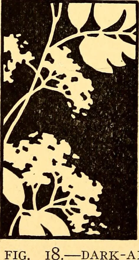 An illustration from Theory and practice of teaching art, 1912, leaf 35