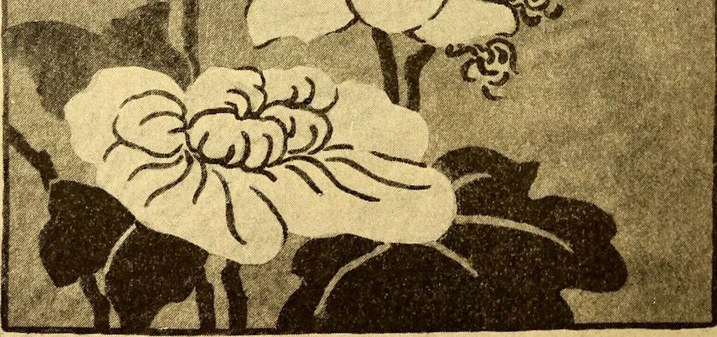 An illustration from Theory and practice of teaching art, 1912, leaf 49