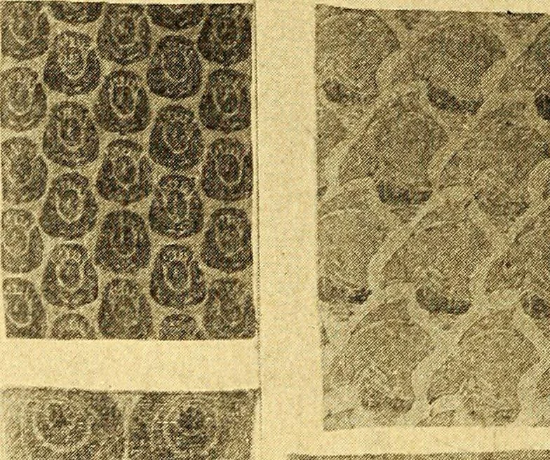 An illustration from Theory and practice of teaching art, 1912, leaf 57