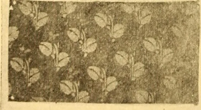 An illustration from Theory and practice of teaching art, 1912, leaf 59