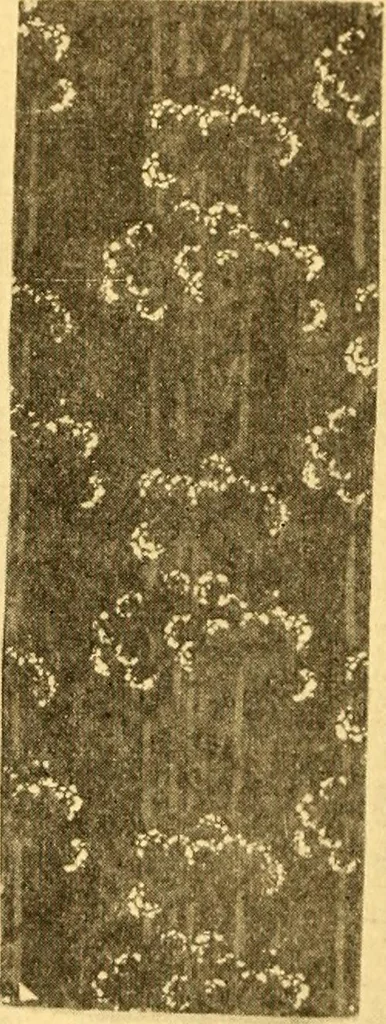 An illustration from Theory and practice of teaching art, 1912, leaf 59
