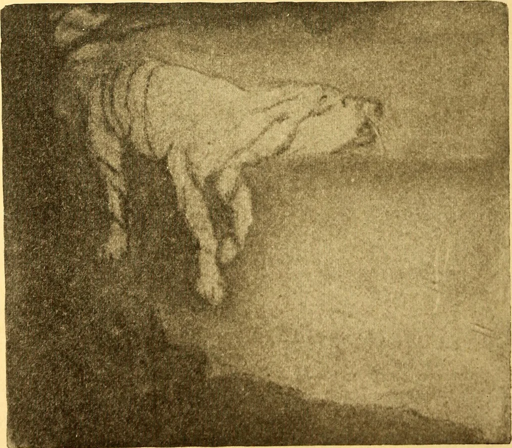 An illustration from Theory and practice of teaching art, 1912, leaf 63